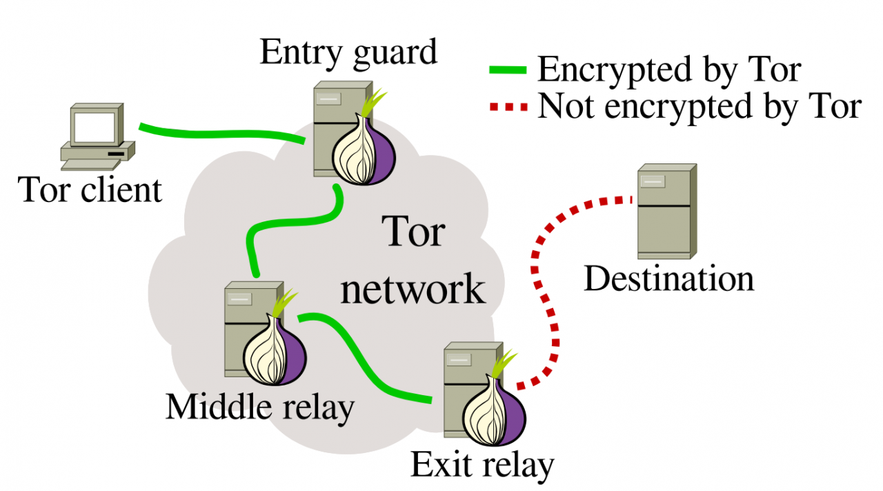 Tor-software-1.png