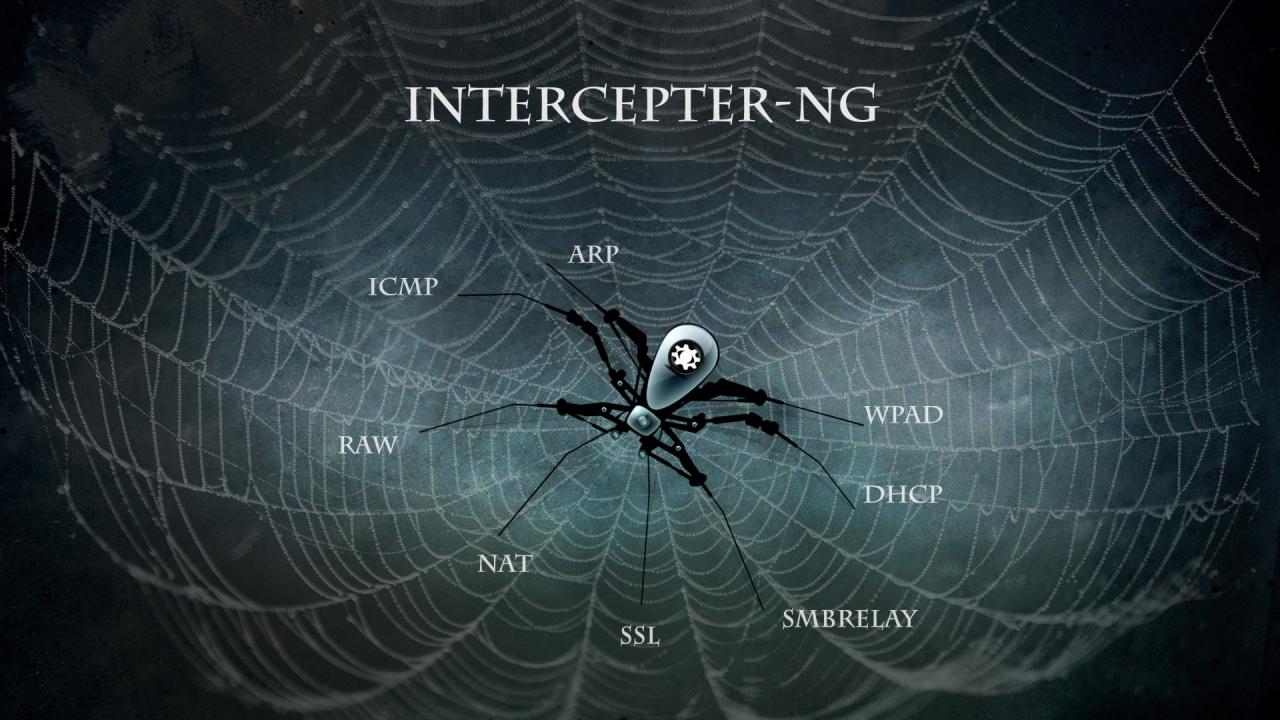 Image result for Intercepter-NG