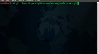 Простая DDOS атака при помощи XERSES в Kali Linux.