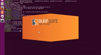 Заливка шелла на сайт с помощью Burp Suite, OWASP Mantra.