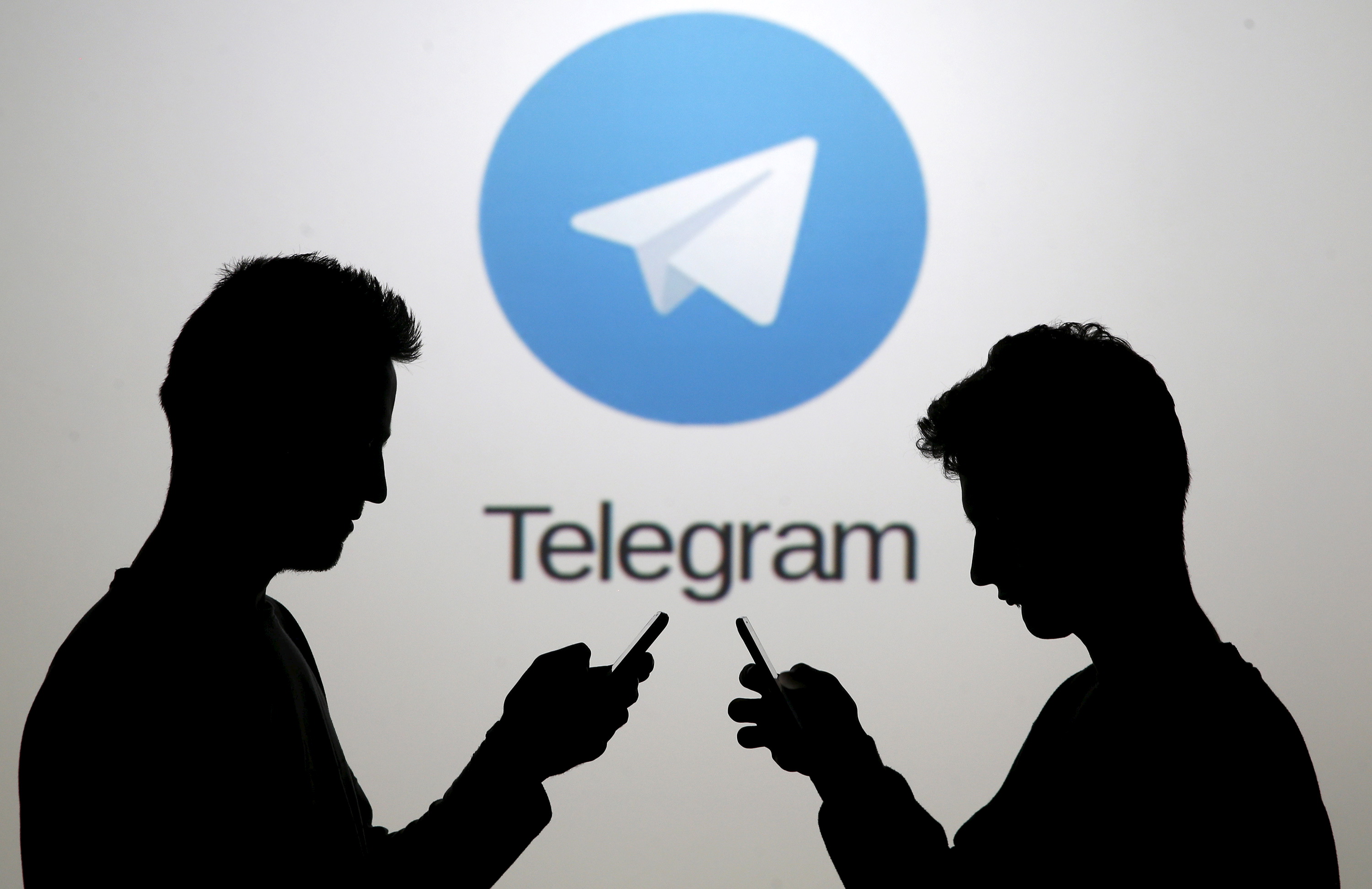 Как узнать номер телефона пользователя telegram
