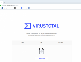 Руководство пользователя VirusTotal API