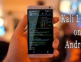 Как установить Kali Linux на смартфон.