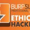 Тестирование безопасности веб-приложений с Burp Suite