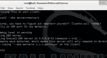 Как организовать DNS-tunneling