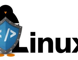 Cкрипты проверки безопасности Linux