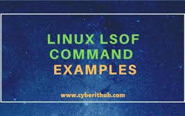 Применение команды lsof в Linux