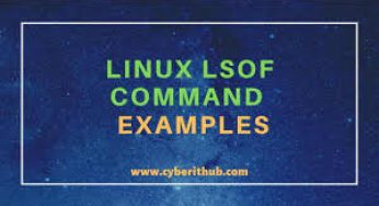 Применение команды lsof в Linux