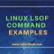 Применение команды lsof в Linux