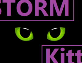 Принцип работы стилера Storm Kitty