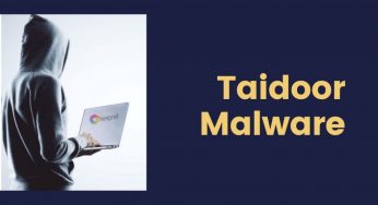 Как эффективно работать с Taidoor