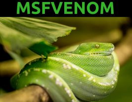 Шпаргалка по Msfvenom: Эксплуатация в Windows
