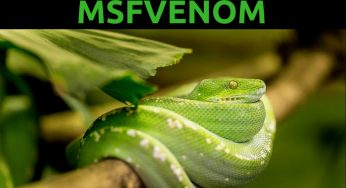 Шпаргалка по Msfvenom: Эксплуатация в Windows