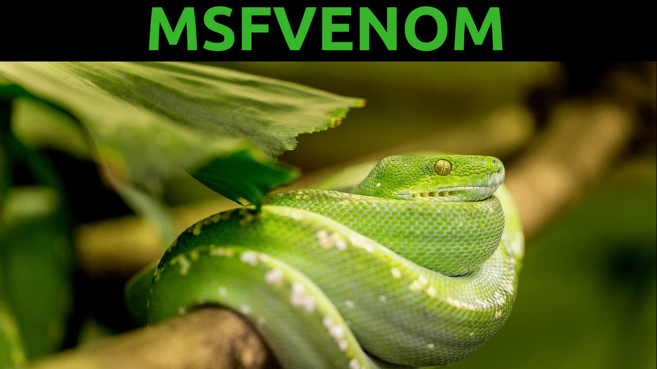 Шпаргалка по Msfvenom: Эксплуатация в Windows
