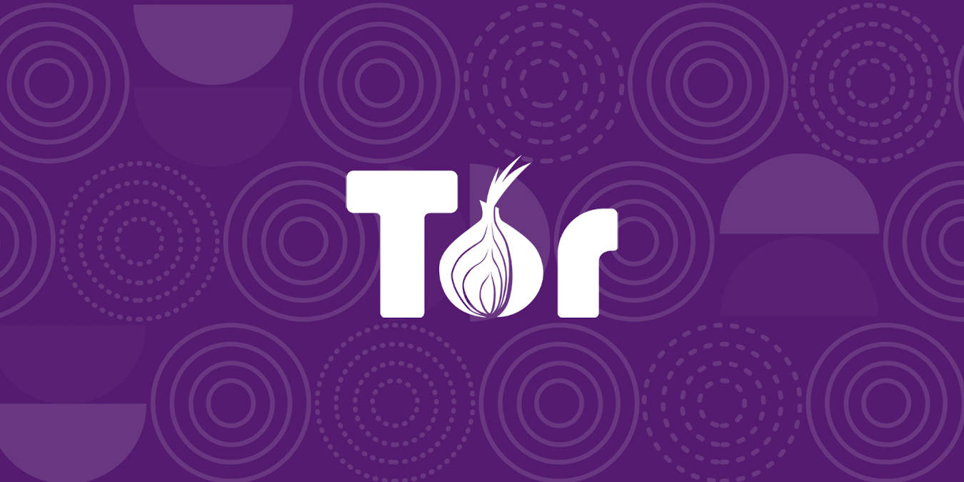 Tor browser что лучше mega2web tor browser не скачивается mega2web