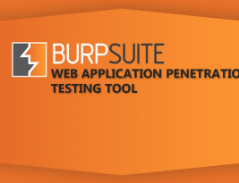 Безопасность веб-приложений: полезные советы по BURP SUITE