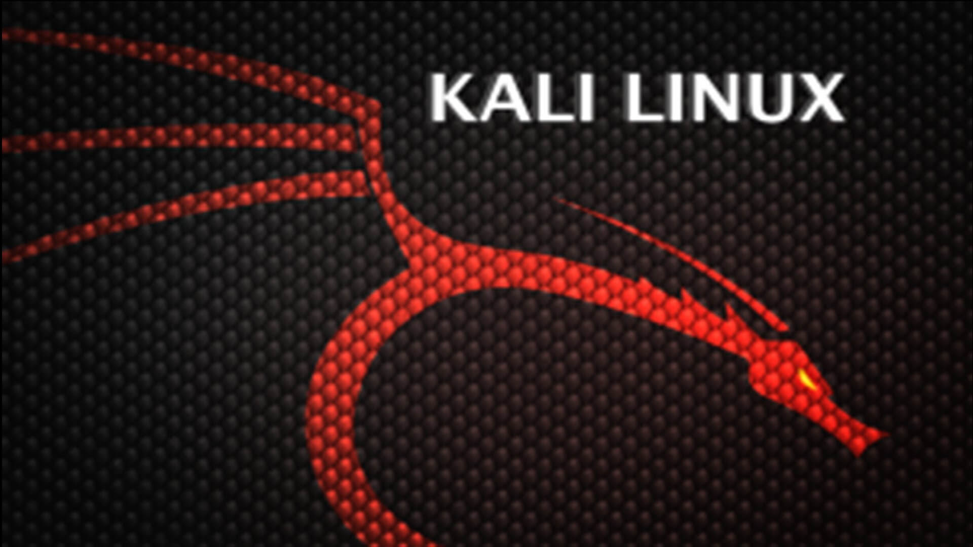 Что сделать после установки Kali Linux