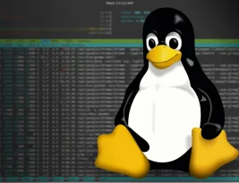 Использование сценариев запуска в Linux